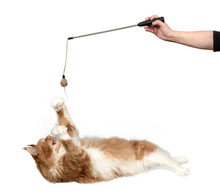 Load image into Gallery viewer, Adjustable String Wand Toy - Mouse   OUT OF STOCK (due to tariffs)
