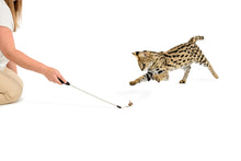 Load image into Gallery viewer, Adjustable String Wand Toy - Bug   OUT OF STOCK (due to tariffs)