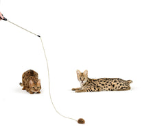 Load image into Gallery viewer, Adjustable String Wand Toy - Mouse   OUT OF STOCK (due to tariffs)