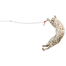 Load image into Gallery viewer, Feather n bell wand teaser cat shape with cat playing
