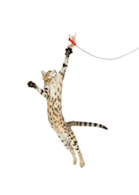 Load image into Gallery viewer, Rompicatz Basics - Feather N' Bell Wand Teaser  OUT OF STOCK (due to tariffs)