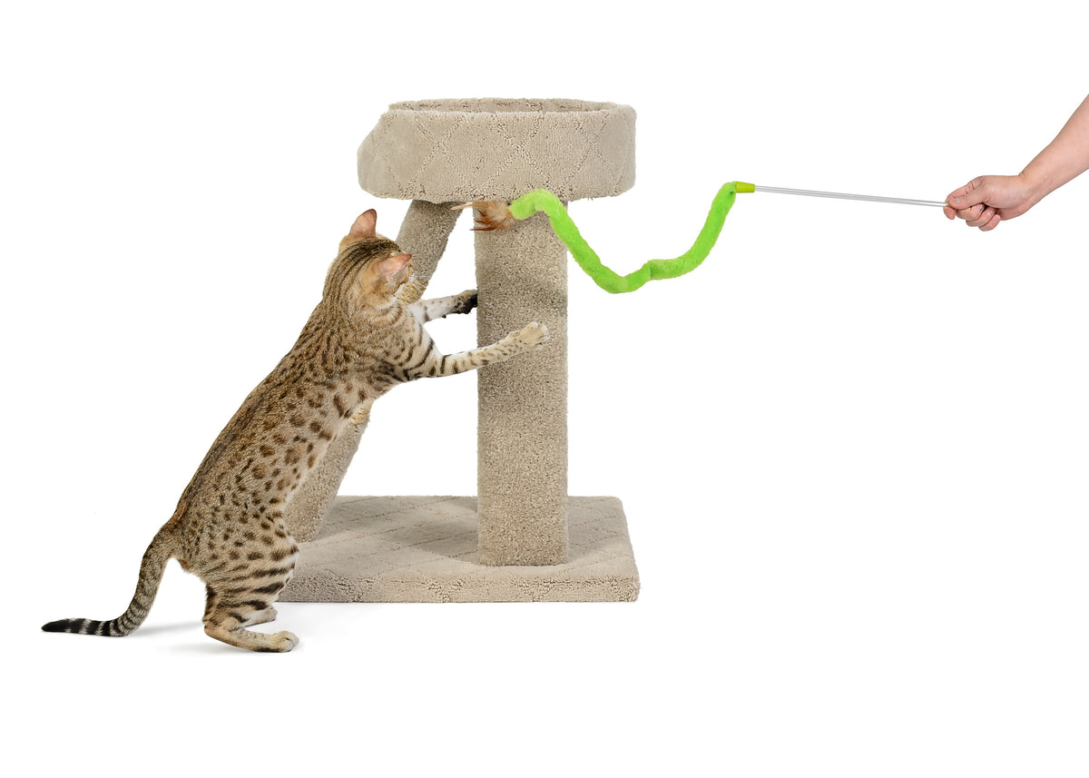 Asda cat scratcher discount