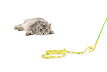 Load image into Gallery viewer, Rustlin Mylar Wiggler - Crinkle sounding fabric string toy!