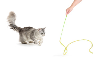 Rustlin Mylar Wiggler - Crinkle sounding fabric string toy!   ** OUT OF STOCK **