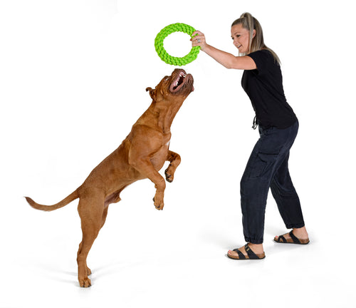 RompiDogz Large Tug N' Toss Rope - 2pc Kit