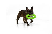 Load image into Gallery viewer, RompiDogz Small Tug N&#39; Toss Rope - 2pc Kit.  (SOLD OUT!)