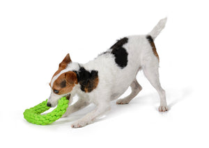RompiDogz Tug N' Toss Rope > Green