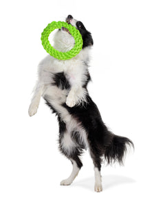 RompiDogz Large Tug N' Toss Rope - 2pc Kit