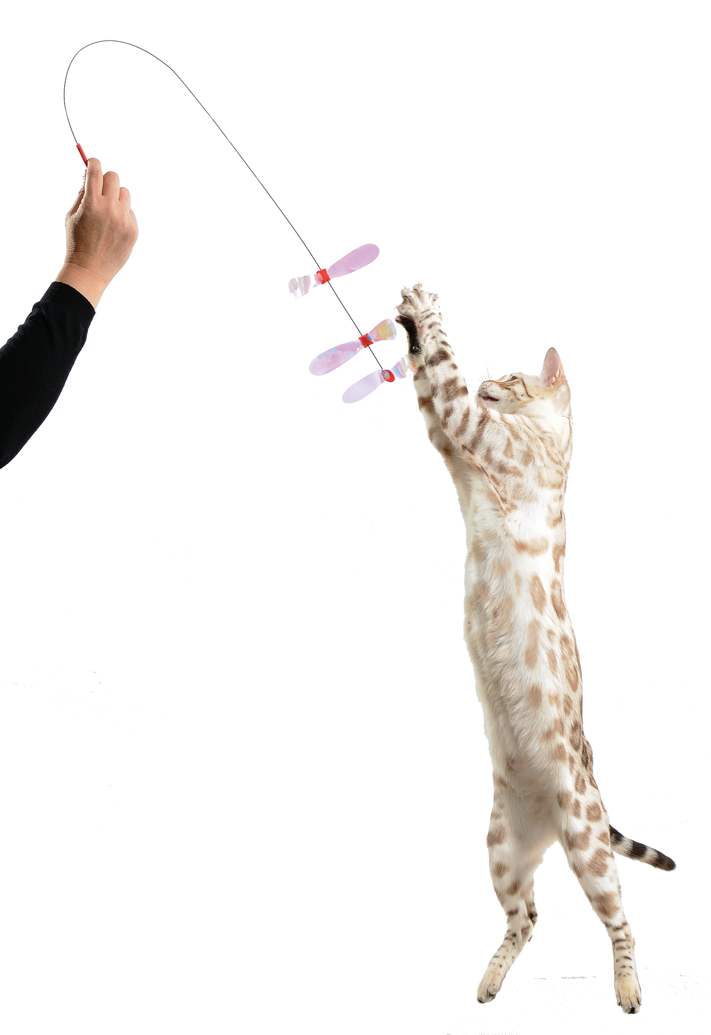 Rustlin Mylar Butterfly Teaser adjustable butterflies RompiCatz