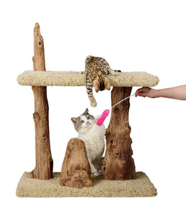 cats on cat tree playing with Plush tip teaser toy