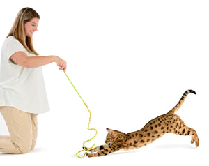 Rustlin Mylar Wiggler - Crinkle sounding fabric string toy!   ** OUT OF STOCK **