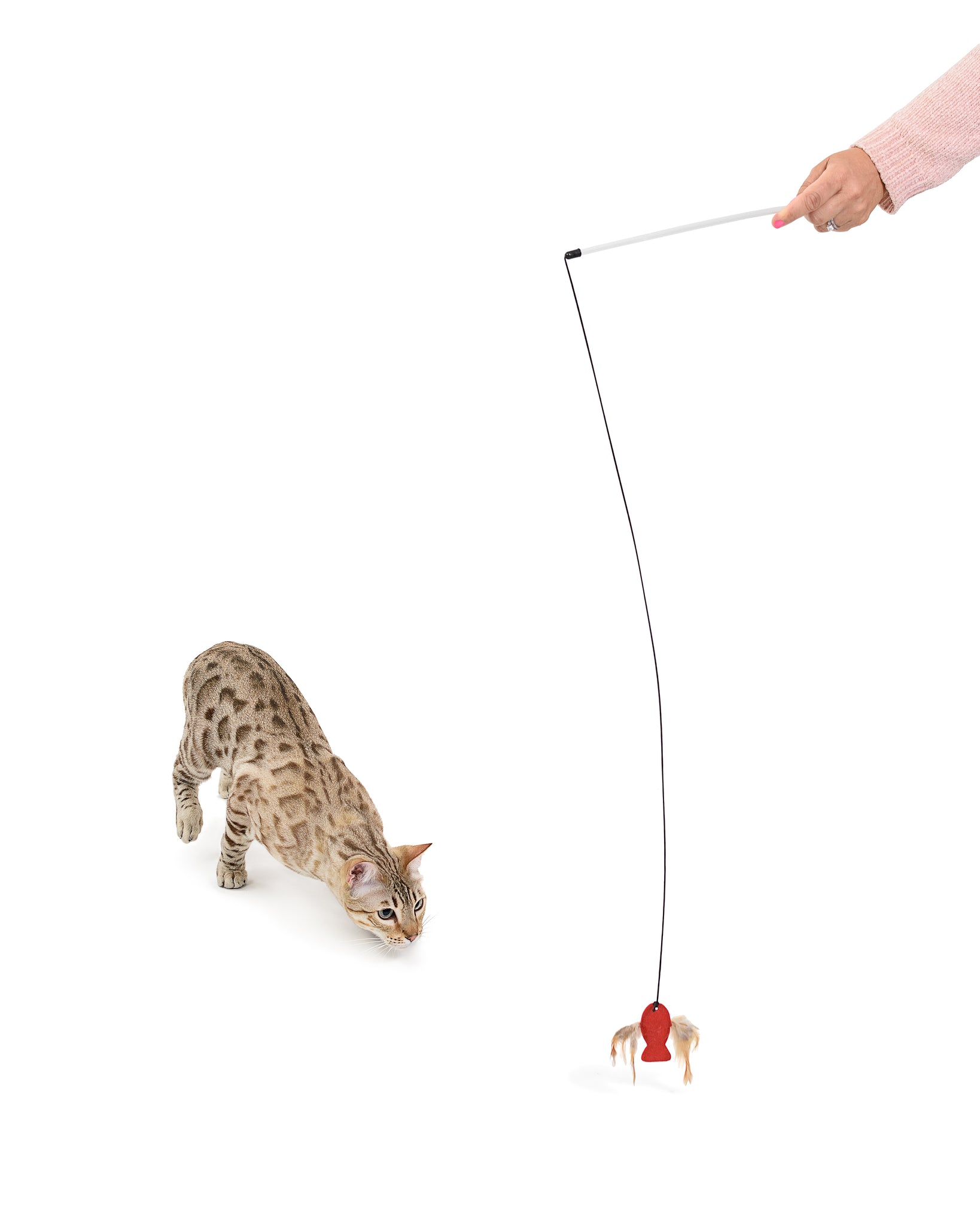 Cat toy wand teaser cheap