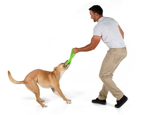 RompiDogz Tug N' Toss Rope > Green
