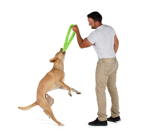 RompiDogz Big & Small Tug N' Toss Rope - 2pc Kit