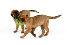 Load image into Gallery viewer, RompiDogz Large Tug N&#39; Toss Rope - 2pc Kit