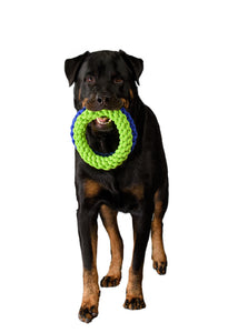 RompiDogz Tug N' Toss Rope > Green