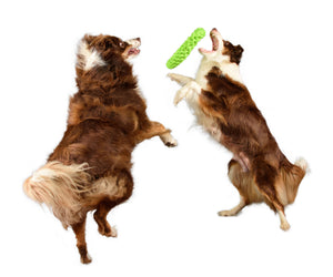 RompiDogz Tug N' Toss Rope > Green